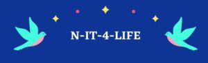 N-IT-4-LIFE- logo-2