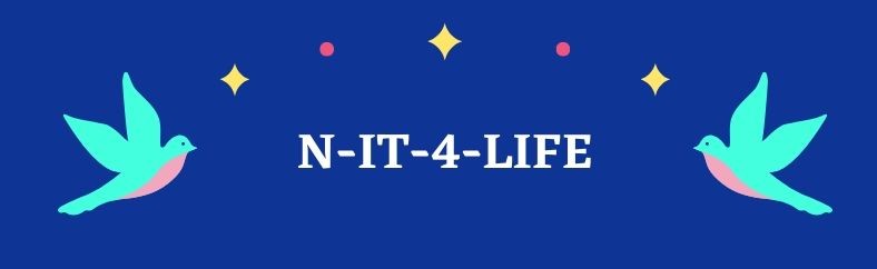 N-It-4Life