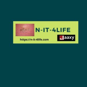 N-IT-4Life-logo
